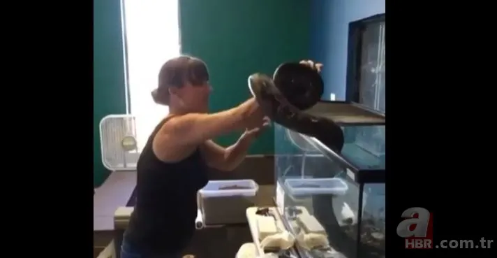 Her şey bir anda oldu! Dev piton yılanı bakıcısına böyle saldırdı 4