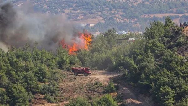 1650555558325.jpg Belirli tarihlerde ormanlara giriş yasaklanacak: Bu yaz çıkabilecek yangınlara karşı 55 helikopter ve 20 söndürme uçağı hazır - 6