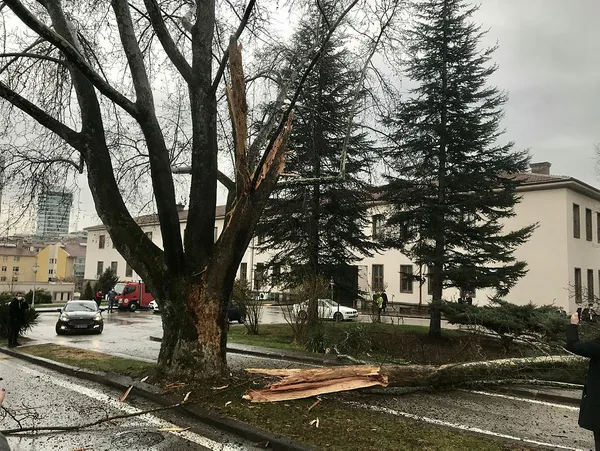 Halk TV sunucusu Ayşenur Arslan TBMM’nin bahçesine düşen yıldırımı Başkan Erdoğan’a bağladı