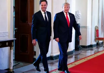 NATO Genel Sekreteri Rutte'dan Trump'a tebrik