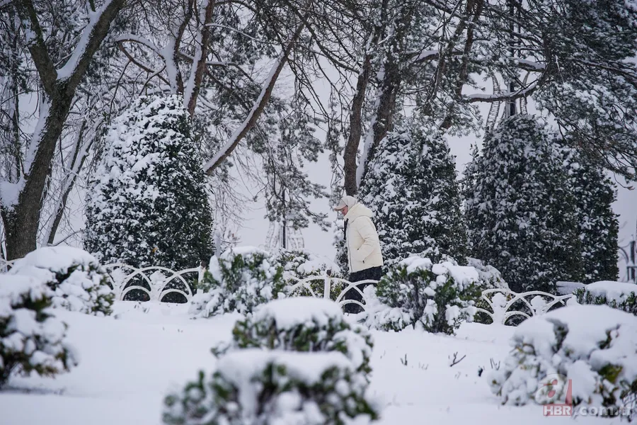 Megakent beyaza büründü! A Haber ekipleri kar nöbetinde: İşte İstanbul'dan kar manzaraları 8