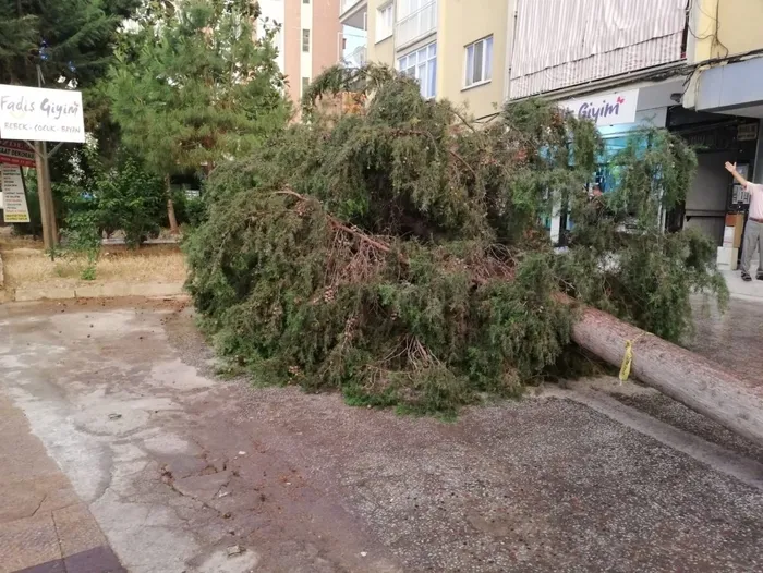 Denizli’de 5 dakikalık kum fırtınası yıktı geçti - 2
