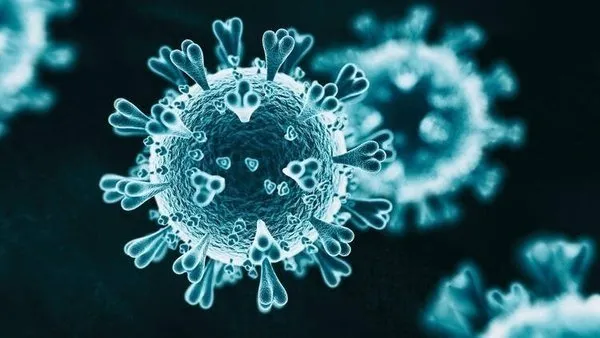 Koronavirüs üçüncü dalga Türkiye | Bilim Kurulu üyesinden flaş açıklama! O tarihe dikkat çekti