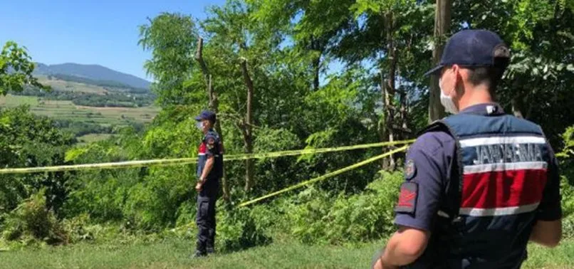 Zonguldak’ta budanan ağaç için kardeşi ve yeğenini öldürmüştü! 25 yıl hapse çarptırıldı