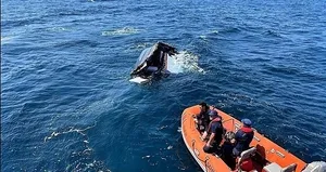 Halit Yukay’ın ölümünde çarpıcı detay!