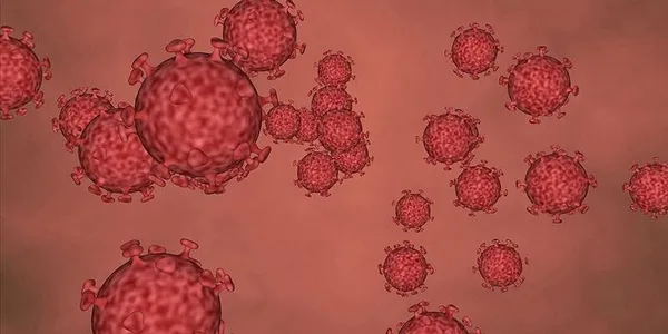 saglik-bakani-fahrettin-kocadan-kritik-bilim-kurulu-toplantisi-sonrasinda-son-dakika-aciklamalari-1624467258129.jpg Sağlık Bakanı Fahrettin Koca'dan kritik Bilim Kurulu toplantısı sonrasında son dakika açıklamaları! - 9