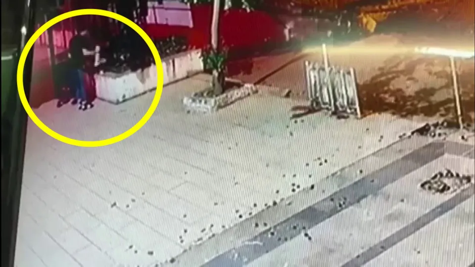 İstanbul Üsküdar’da kediyi tekmeleyip öldüren şahıs için flaş karar