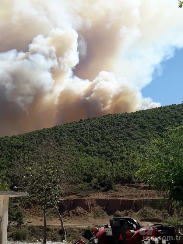 Bursa Yenişehir'de korkutan orman yangını! 1