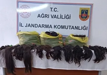 Ağrı'da poşetlerin içinden çıkanlar şaşkına çevirdi: 397 adet...