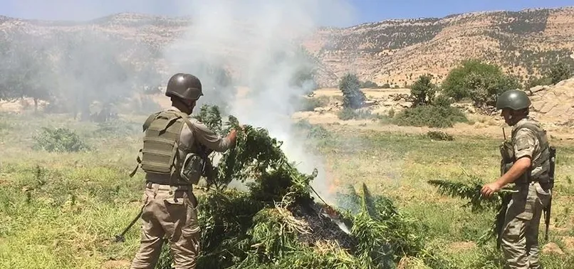 Diyarbakır'da PKK'nın inlerine baskın