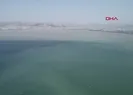 Yağmur sonrası dikkat çeken görüntü