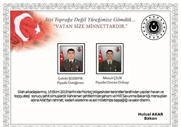 Barış Pınarı Harekatı'nda 2 asker şehit oldu
