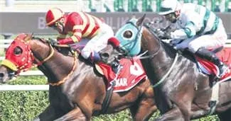 Veliefendi’de büyük panik!