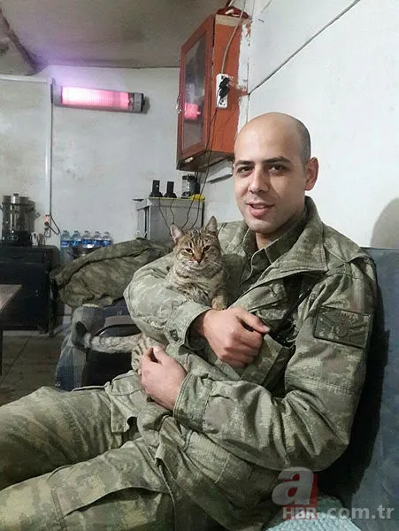İdlib (İdlip) şehitleri kimdir? İdlib şehitleri isimleri ve memleketleri! İdlib (İdlip) şehitleri kimdir? İdlib şehitleri isimleri ve memleketleri!