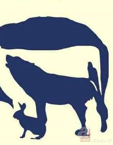 Zeka testi: Resimdeki 10 hayvan nerede? 832 kişiden sadece 9'u bulabildi 4