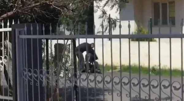 kadin-erkegi-yere-yatirip-darp-etti-o-anlar-saniye-saniye-kaydedildi-1617516334027.jpg Kadın erkeği yere yatırıp darp etti! O anlar saniye saniye kaydedildi - 1