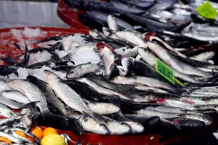 Son dakika balık fiyatları | Balık fiyatları ne kadar | Vatandaşı üzen haber! Ucuz balık beklemesinler