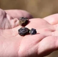 Türkiye’nin NTE hedefi! Toryum da üretilecek! 4 trilyon dolarlık dolarlık rezerv