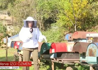 İstanbul’un tescilli lezzeti kestane balı