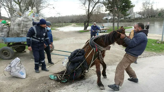 Edirne’de aşırı yükten yere yığılan atı kuyruğundan çekerek ayağa kaldırdılar - 7