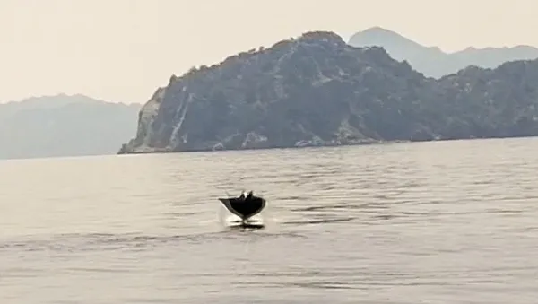 endonezya-ve-okyanusta-yasiyor-hayalet-vatoz-marmariste-ilk-kez-goruldu-1652178550058.jpg Endonezya ve okyanusta yaşıyor! 'Hayalet Vatoz' Marmaris’te ilk kez görüldü - 5