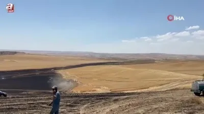 Batman’da buğday tarlasında yangın