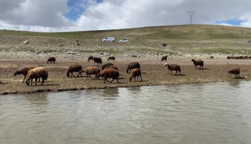 Kimse yapmak istemiyor! 120 bin TL maaşla çalışacak eleman yok - 1