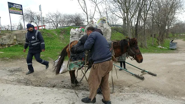 Edirne’de aşırı yükten yere yığılan atı kuyruğundan çekerek ayağa kaldırdılar - 1