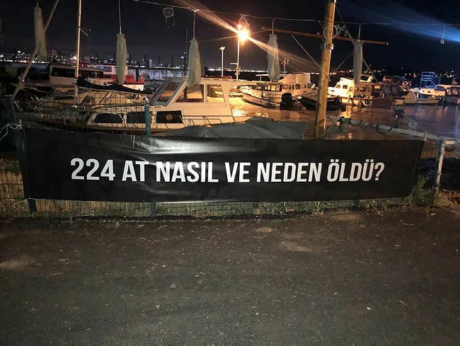 ibbnin-kayip-atlariyla-ilgili-flas-bir-iddia-ortaya-atildi-atlar-kuzey-iraka-mi-satildi-1620800760412.jpg İBB'nin kayıp atlarıyla ilgili flaş bir iddia ortaya atıldı! Atlar Kuzey Irak'a mı satıldı? - 2