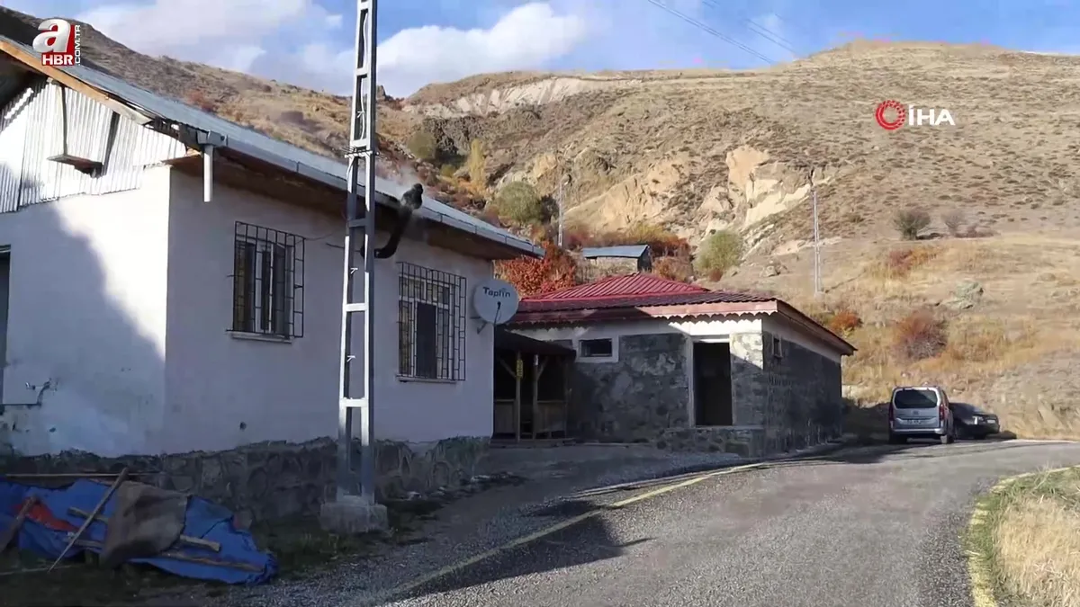 40 derecelik suya yoğun ilgi