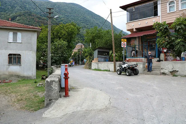 Sakarya'da 2 mahallede muhtar kararıyla karantina uygulanıyor - 1