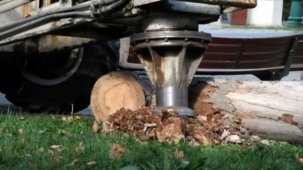 Gülhane ve Gezi Parkı'ndaki asırlık ağaçlar İBB tarafından kesildi