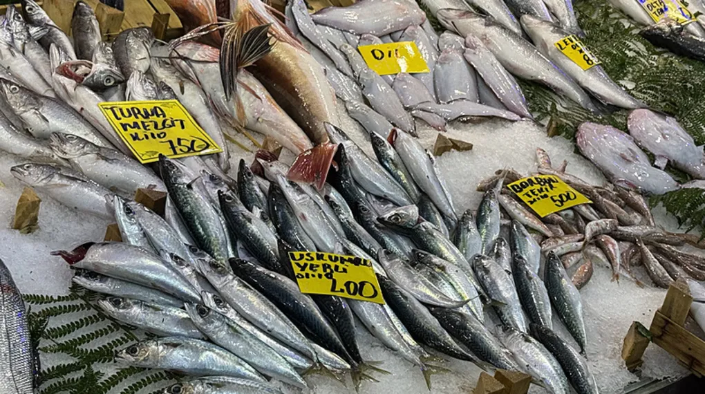 Kocaeli'de balık tezgahlarındaki son durum