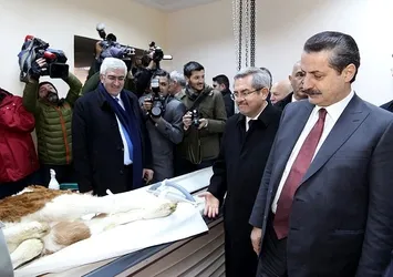 Bakan Çelik'ten besicilere 'mera' müjdesi