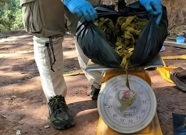 Tayland'ta geyiğin midesinden 7 kilogram atık çıktı - 1
