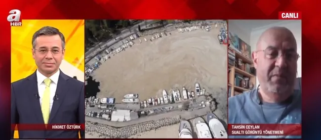 Marmara’da müsilaj kabusu! Marmara Denizi ölüyor mu? Uzmanlar uyardı: Sakın yemeyin, felç bırakıyor - 7