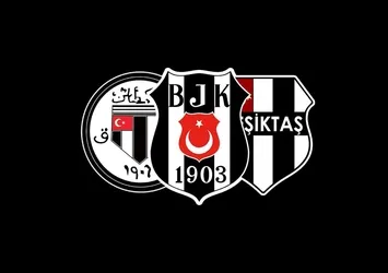 Yalçın Karadeniz disiplin kuruluna sevk edildi