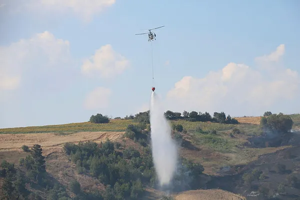 Son dakika: Çanakkale'nin Kemel köyünde orman yangını! Kontrol altına alındı... - 2
