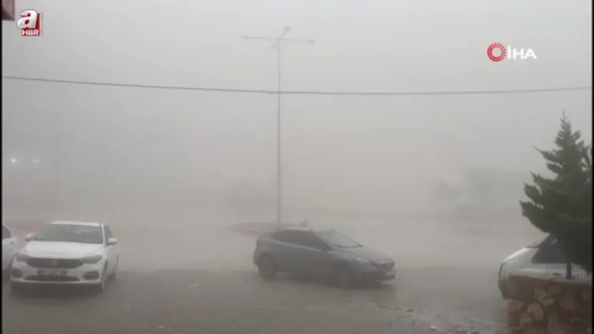 Besni'de yoğun sis etkili oldu