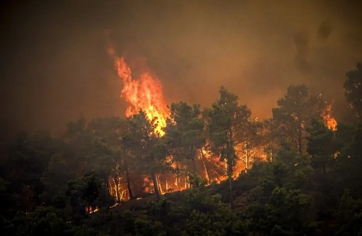 Rodos’ta orman yangın! Kamyon kasalarında tahliye edildiler