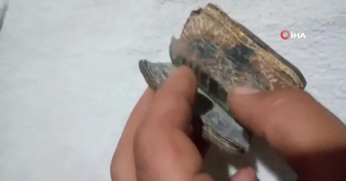 Muğla'da bin yıllık altın varaklı Tevrat ele geçirildi