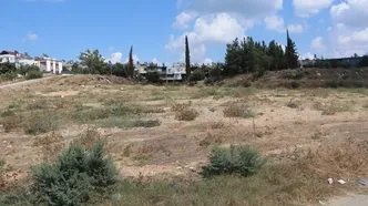 Adana'da cırcır böceği istilası vatandaşları çileden çıkardı: "100 desibel ses yapıyorlar, uyuyamıyoruz"