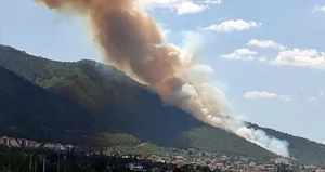 Denizli’deki ormanlık alanda yangın!