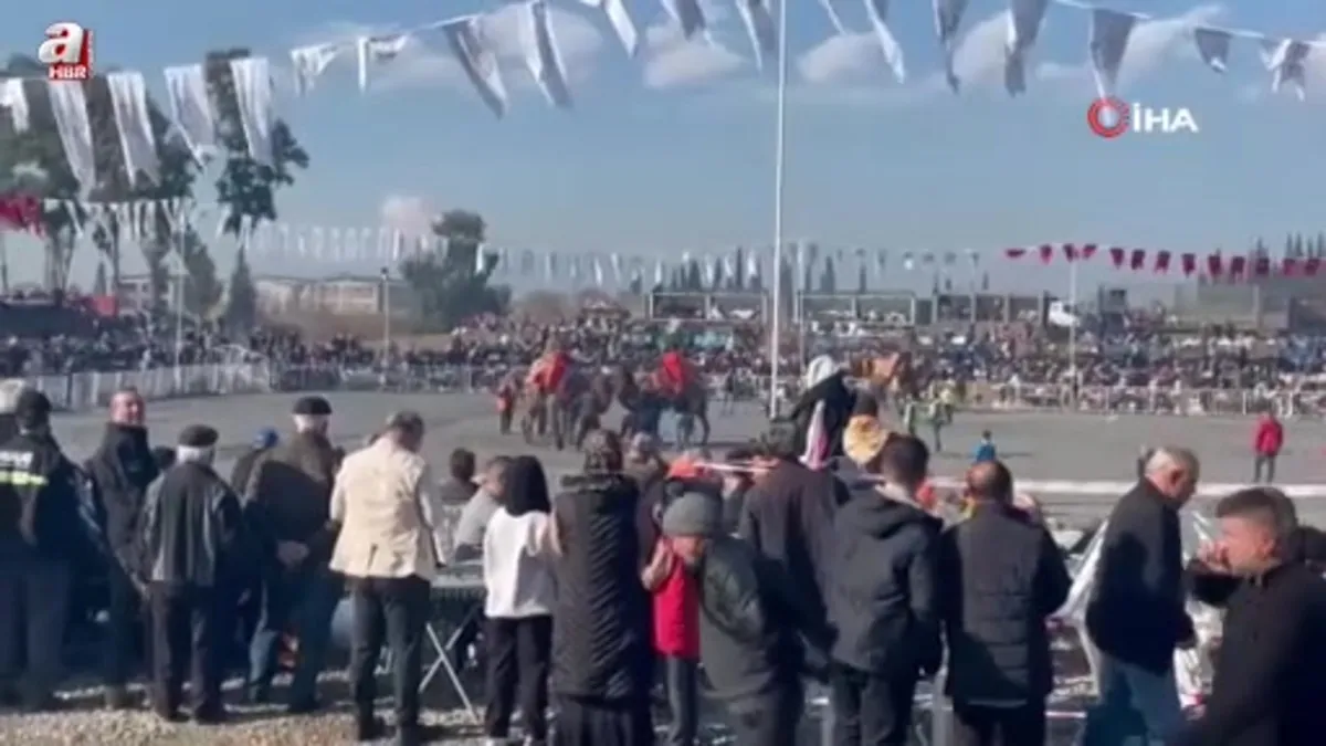 Pehlivan develer yılın ilk güreşinde İncirliova'da kozlarını paylaştı