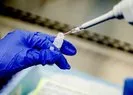 Koronavirüs için yeni aşı adayının klinik denemeleri başladı