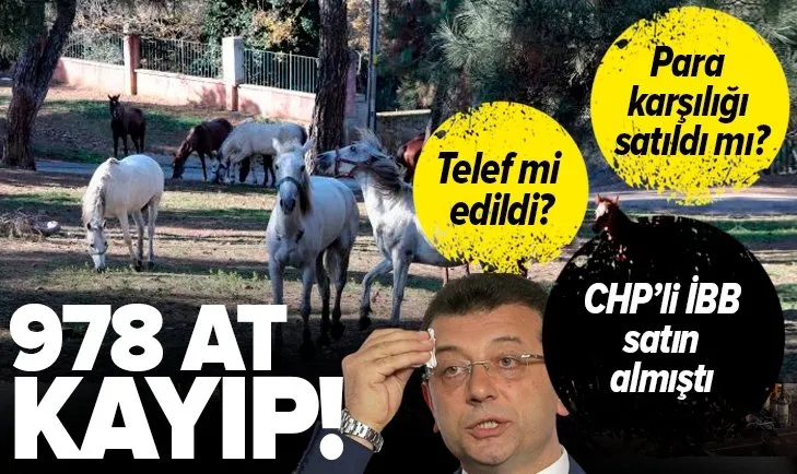 CHP'li İBB’nin sorumluluğundaki 978 at kayıp! Para karşılığı satıldı mı? Telef mi edildi?