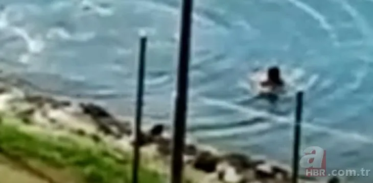 Dev timsah nehirden aniden fırlayarak küçük çocuğu yuttu  🐊 Balık tutan babası hemen suya atladı ama kurtaramadı | Vahşi doğada inanılmaz görüntü
