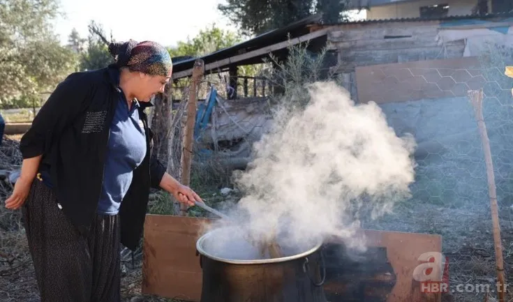 Türkiye'de pek bilen yok ama Avrupa kapış kapış alıyor! Ne olduğunu gören şaşkına dönüyor: Kozmetik ve ilaç sanayisinin gözdesi 2