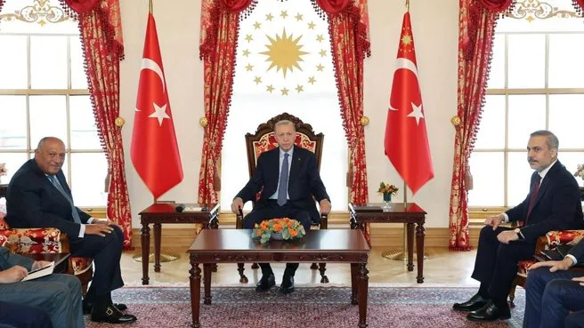 Başkan Erdoğan Mısır Dışişleri Bakanını kabul etti!