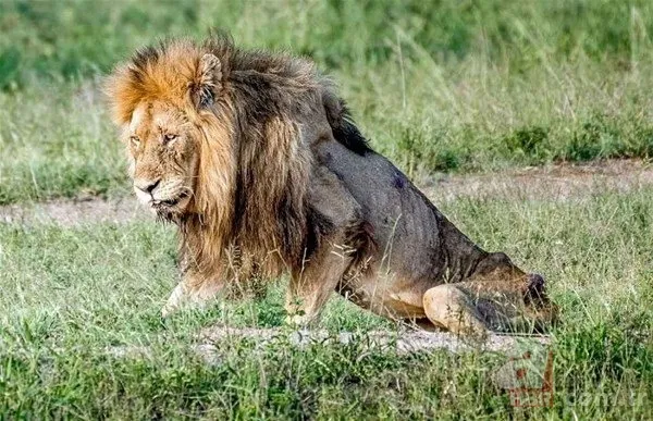 Bilim insanları geliştirdi! Artık uzaydan sayılabilecekler